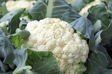 Chou-fleur et chou romanesco