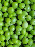 Producteur fuit et légume : petit pois