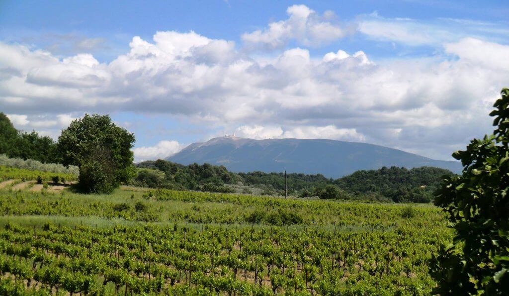 Vente de vin AOC Côtes du Rhône