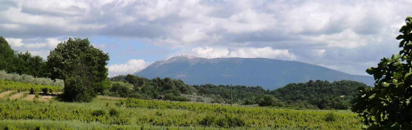Vente de vin AOC Côtes du Rhône
