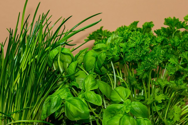 herbes aromatiques du domaine des arches en drôme provençale