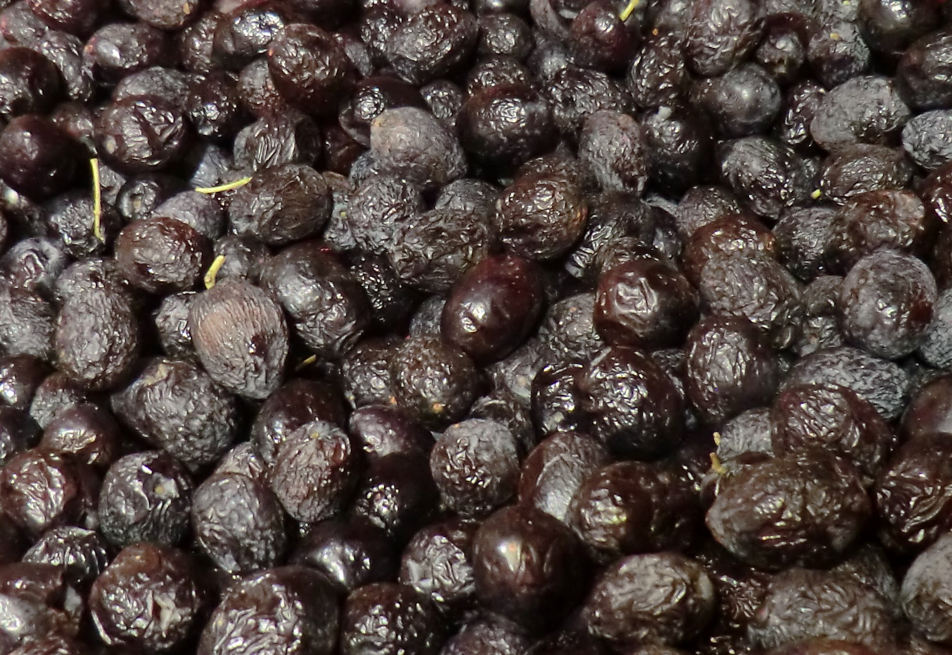 olives piquées du domaine des arches