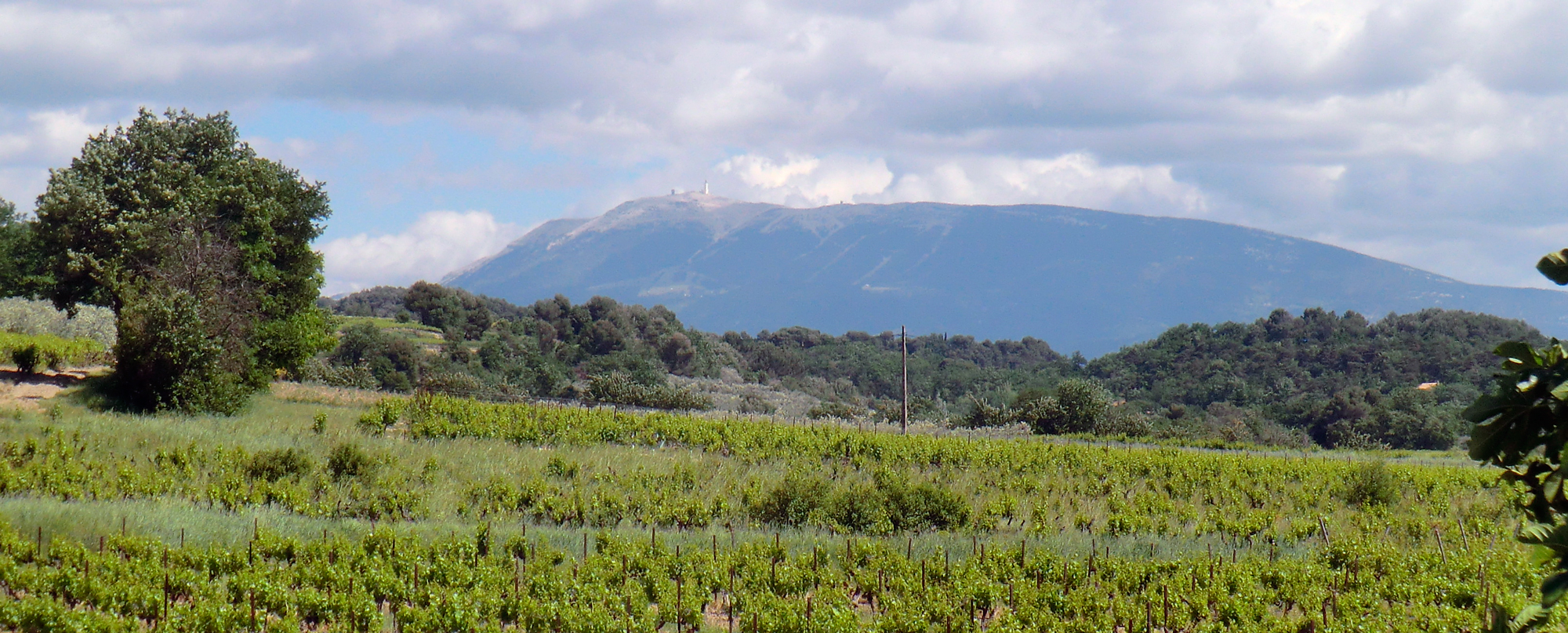 Mont ventoux